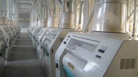 Wheat, Maize, Rice Flour Mill