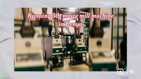 Maize Wheat Corn Flour Meal Grits Mill Milling Processing Making Machine