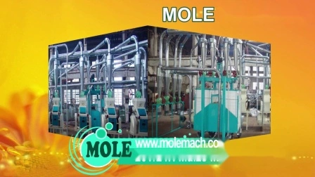 Fully Automatic Crushing Crusher Corn Wheat Maize Flour Mill Milling Machine Price