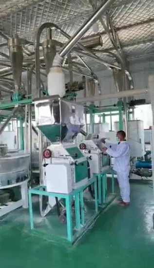 High Quality 200tpd Wheat Flour Making Machine