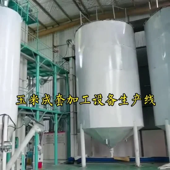 Africa Market Maize Flour Corn Grits Roller Germ Extraction Milling Line