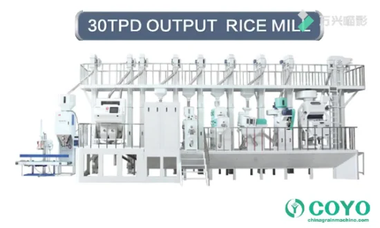 Full Automatic 1tph 200tpd Rice Mill Plant Rice Milling Machine