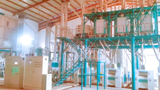 Maize Flour Machine Comnplete Line in Africa